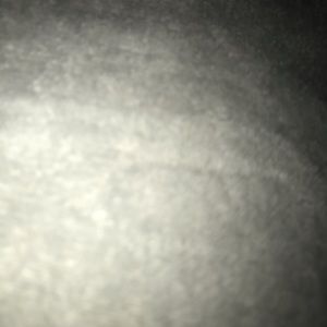 Meet your Posher, Alec